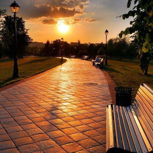 女人做爰高潮全过程免
